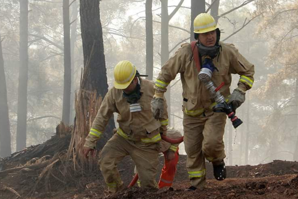 16 günde 54 ilde çıkan 299 orman yangınının tamamı kontrol altına alındı