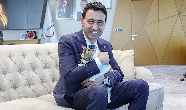 Bayraklı Belediye Başkanı İrfan Önal, yaralı kediye sahip çıktı 'sahiplenme' çağrısı yaptı