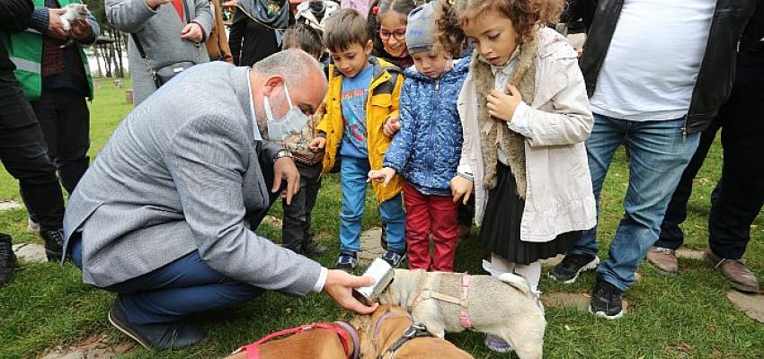Canik’te çocuklar sokak hayvanları için ‘Çevre Dostu’ kulübeler hazırlıyor
