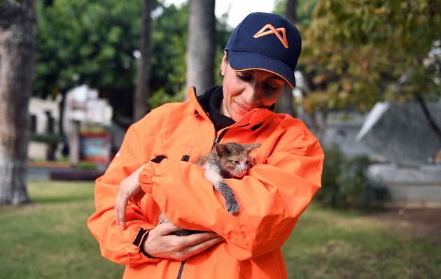 Hayvan Dostu Zeynep Vural, Araba Tekerleğine Sıkışan Yavru Kediyi Kurtardı 