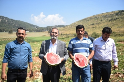 Tarsus Belediyesi Ücretsiz Karpuz Dağıttı