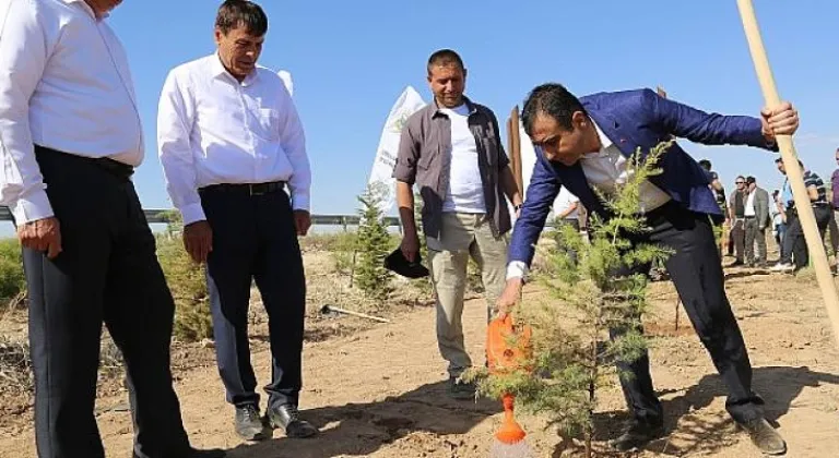 15 Temmuz Şehitleri İçin Fidan Dikimi Gerçekleşti
