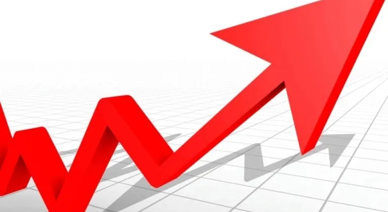 2023'te Gayrisafi Yurt İçi Hasıla Yüzde 5,1 Artış Gösterdi