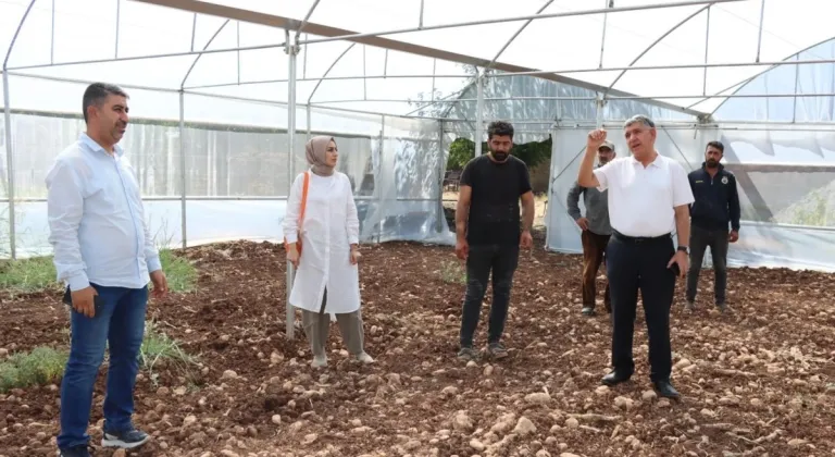 Adıyaman'da GAP desteği ile 46 çiftçi sera sahibi oluyor