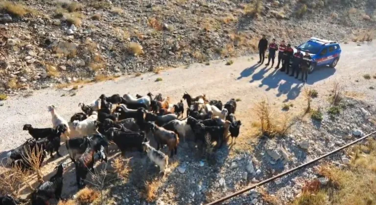 Adıyaman'da kaybolan küçükbaş hayvanlar dron ile bulundu  - Videolu Haber