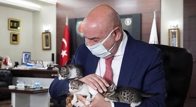 ‘Ailem Olur Musun?’ Sıcak Yuva Buluyor