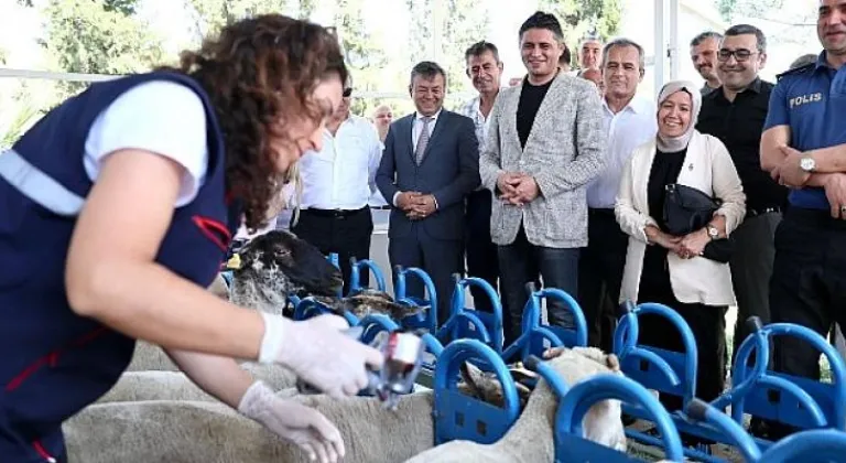 Aliağa’da Yavru Ölümlerine Karşı Aşı Kampanyası Başladı