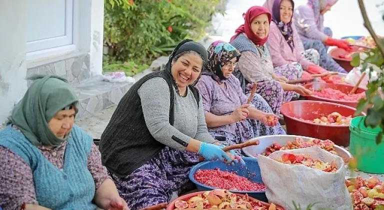 Aliağa'nın Doğal Çıtak Nar Ekşisi'nin Sofralara Uzanan Öyküsü