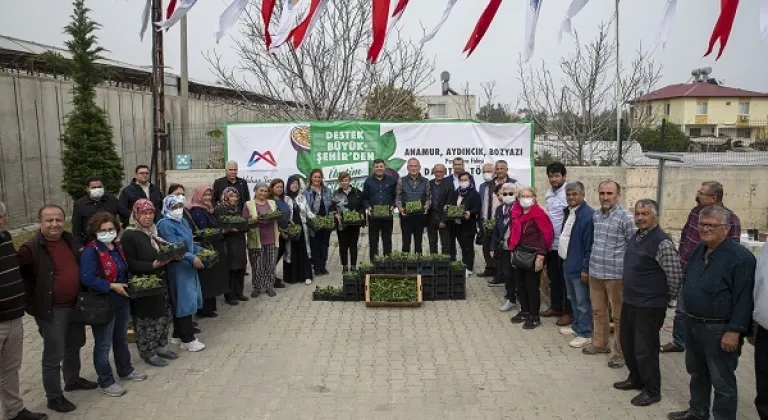 Anamur, Aydıncık Ve Bozyazı’daki Üreticilere Passiflora Fideleri Dağıtıldı