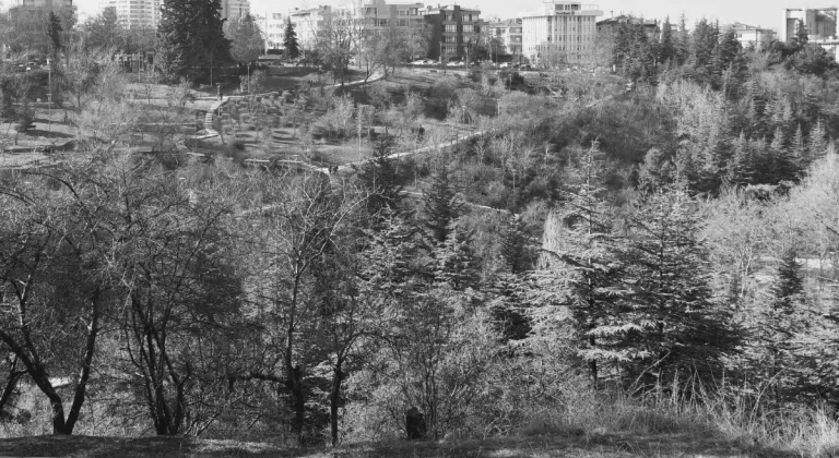 Ankara Büyükşehir Belediyesi, 'Dışişleri Şehitleri Anıtı' Projesini Başlatıyor