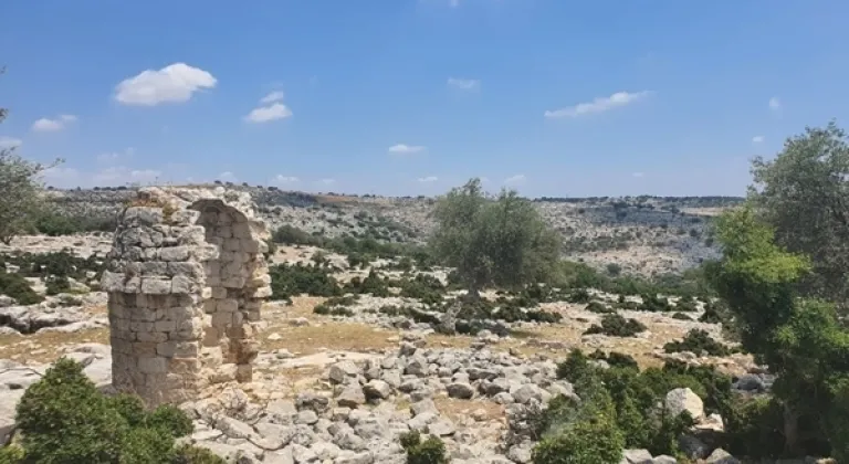 Arkeologlardan Tarsus tarihi için hummalı çalışma