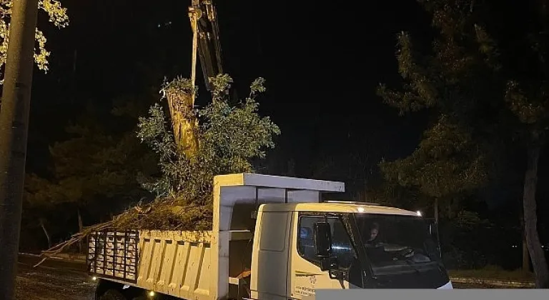 Aydın Büyükşehir Belediyesi'nden Şiddetli Yağış ve Fırtınaya Karşı Hızlı Müdahale