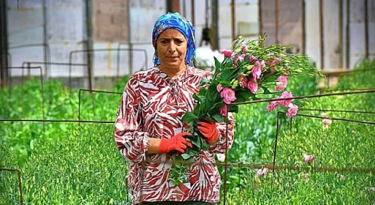 Bademler'in çiçek üreticisi Hollanda Borsası'nda