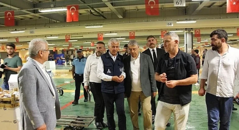 Balık Sezonu Başladı: Denizde Palamut Bolluğu Esnafın Yüzünü Güldürdü
