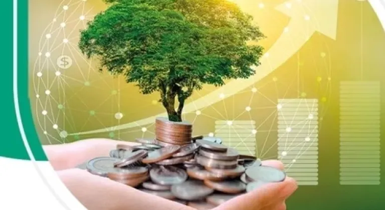Bankalar Yeşil Varlıklarını Raporlamaya Başlıyor