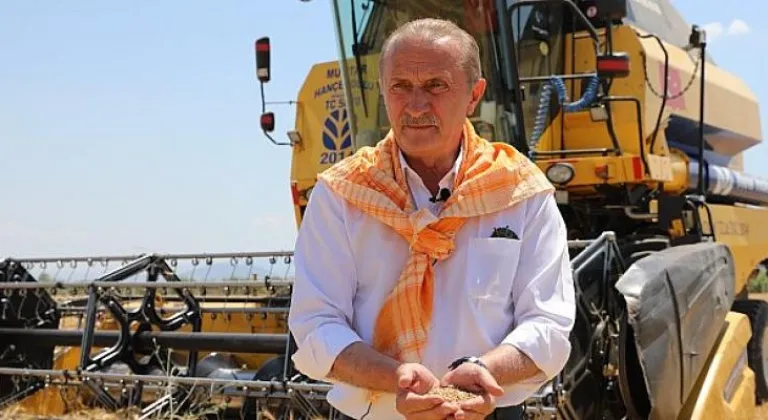 Başkan Atabay İlk Buğday Hasadını Yaptı