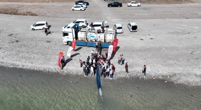Başkan Çolakbayraktar: Yamula Nehri'ne 800 bin yavru sazan bırakıldı