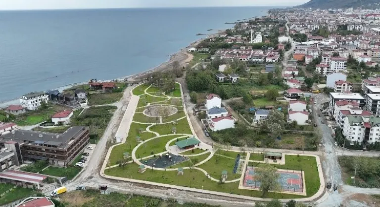 Bataklık yaşam alanına döndü