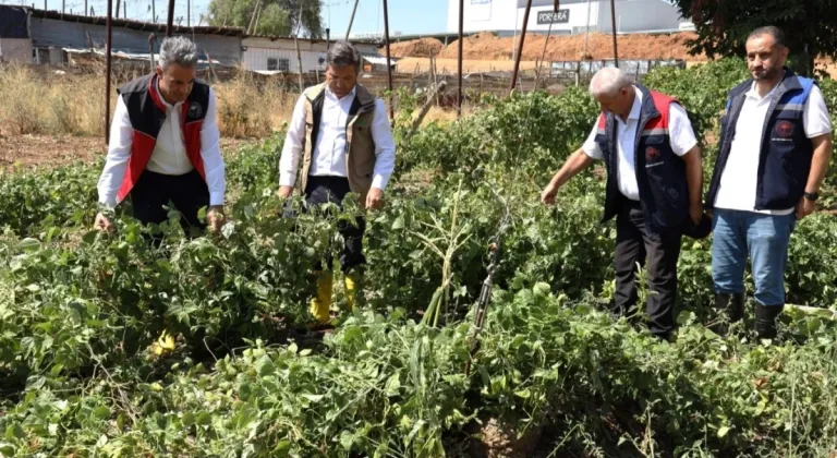 Bilecik Pazaryeri'nde Yağıştan Zarar Gören Araziler Üzerinde Yakından İnceleme