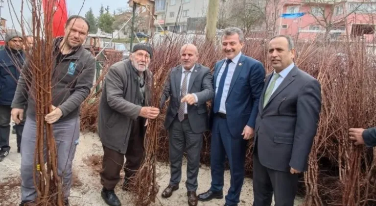 Bursa Büyükorhanlı çiftçiye fidan desteği