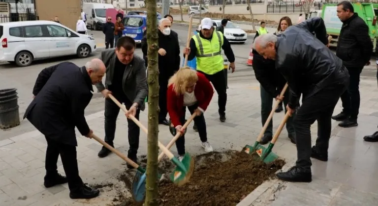 Büyükçekmece yeni yıla 24 mahalleye ağaç dikerek girdi
