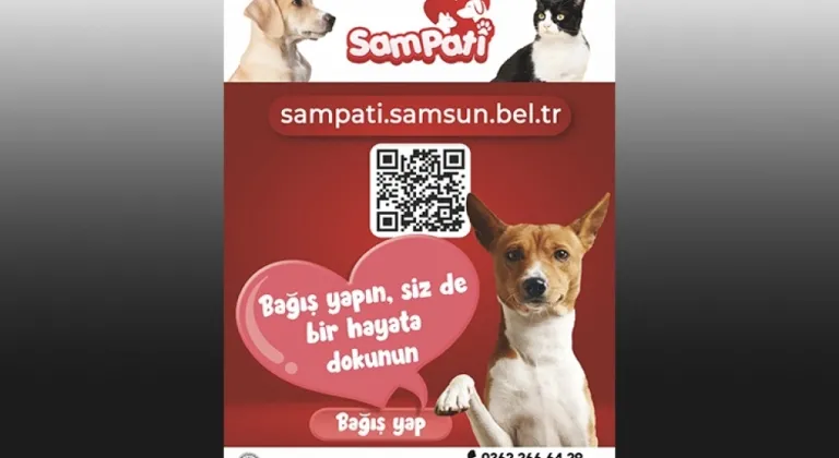 Büyükşehir Belediyesi, Çalışmalarına bir yenisini daha ekledi.