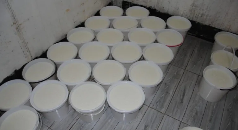 Büyükşehir Belediyesi, Sağlıksız Koşullarda Üretilen 120 Kova Yoğurdu Ele Geçirdi