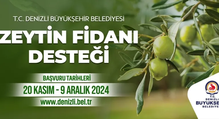 Büyükşehir, Çiftçilere 50 Bin Zeytin Fidanı Verdi