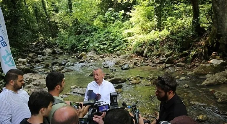 Büyükşehir, Kirazdere'ye 8 bin adet alabalık saldı
