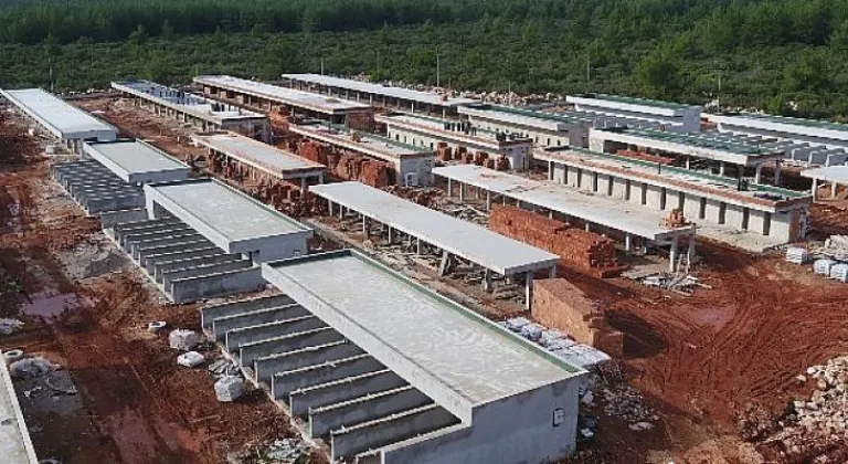 Büyükşehir Sokak Hayvanları Bakım Evi Projesi hızla sürüyor