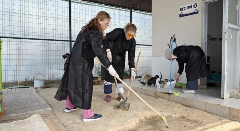 Büyükşehir ve Gönüllülerden Patili Dostlar İçin Dayanışma