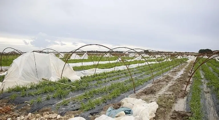 Büyükşehir zor gününde üreticinin yanında
