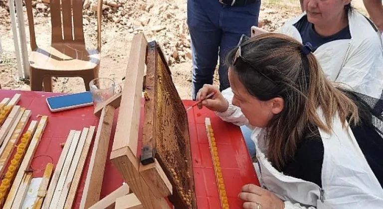 Büyükşehir’den, Dünya Arı Günü’nde farkındalık etkinlikleri