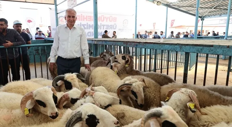 Büyükşehir’den üreticilere “KOÇ” gibi destek