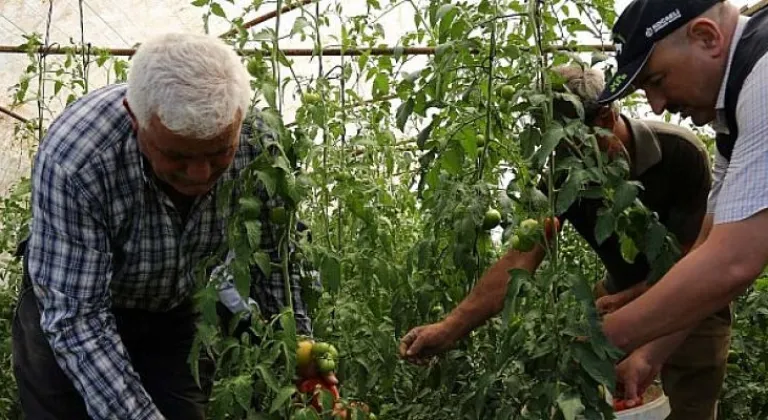 Büyükşehir'den üreticilere yüzde 50 hibeli sera desteği