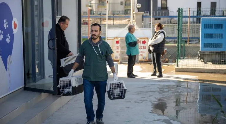 Büyükşehir'den Yeni Bir Adım: 'Kedi Kısırlaştırma Merkezi' Açıldı