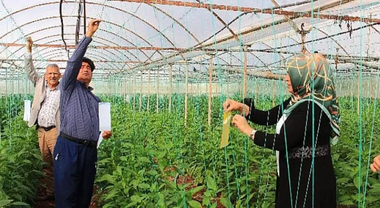 Büyükşehir'in ücretsiz tuzak dağıtımı sürüyor