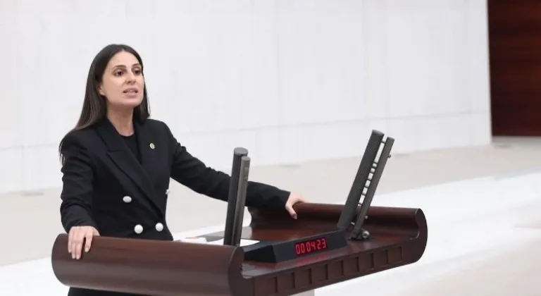 CHP'li Özcan'dan Öneri: Muğla, Turist Sayısına Göre Hak Ettiği Payı Almalıdır