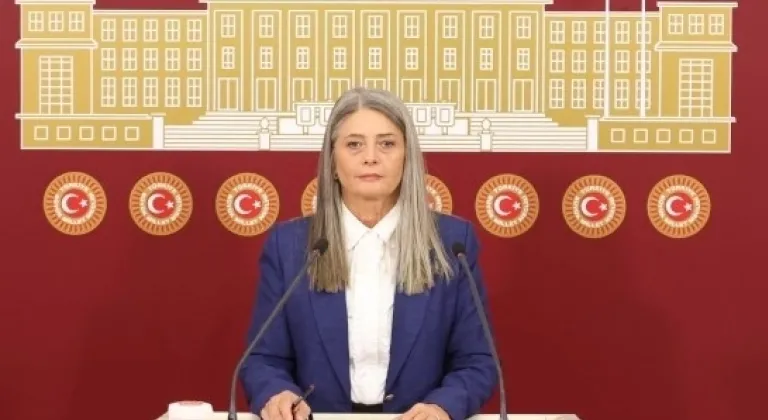 CHP'li Suiçmez, Sağlık Bakanlığı'na 'Doğum' Üzerine Tepki Gösterdi