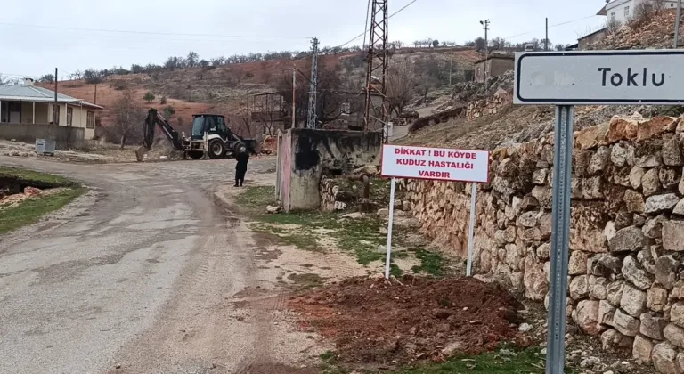 Çocuğu ısıran köpek kuduz çıktı, köy karantinaya alındı  - Videolu Haber