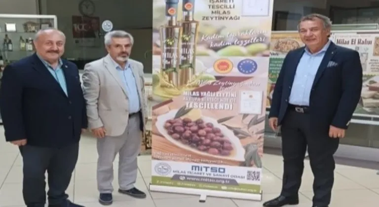 Coğrafi işaretli Milas zeytini 'Hasat Şenliği'nde taçlandı