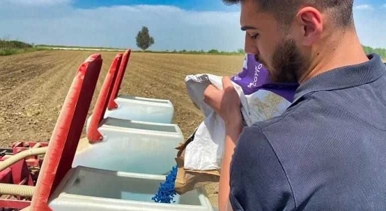 Çukurova topraklarına yeniden ‘Beyaz Altın’ ekildi