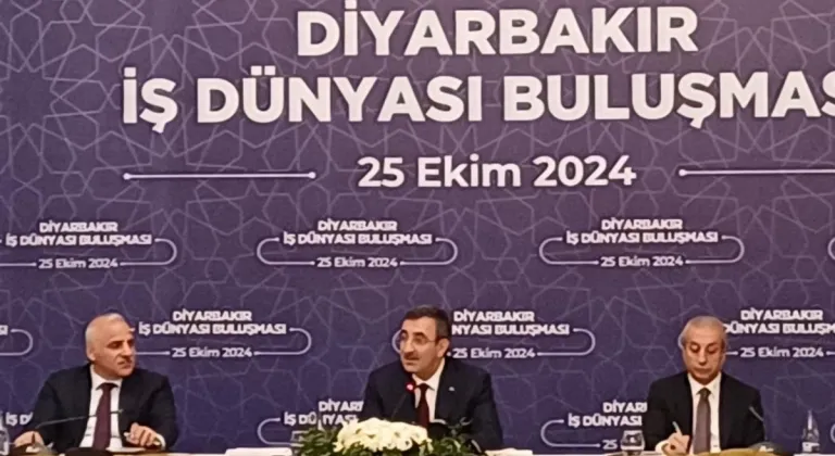 Cumhurbaşkanı Yardımcısı Cevdet Yılmaz: Deprem bölgesinde yatırımlar ve kalkınma planları