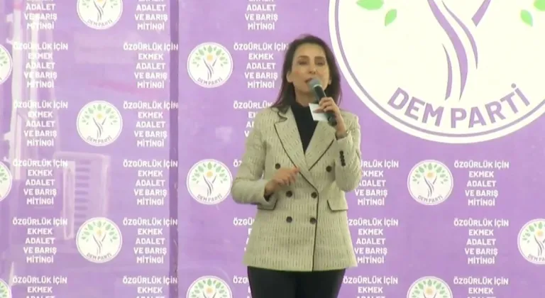 DEM Parti'nin 'Özgürlük İçin Barış' mitinginde İmralı mesajı ve kayyum eleştirisi