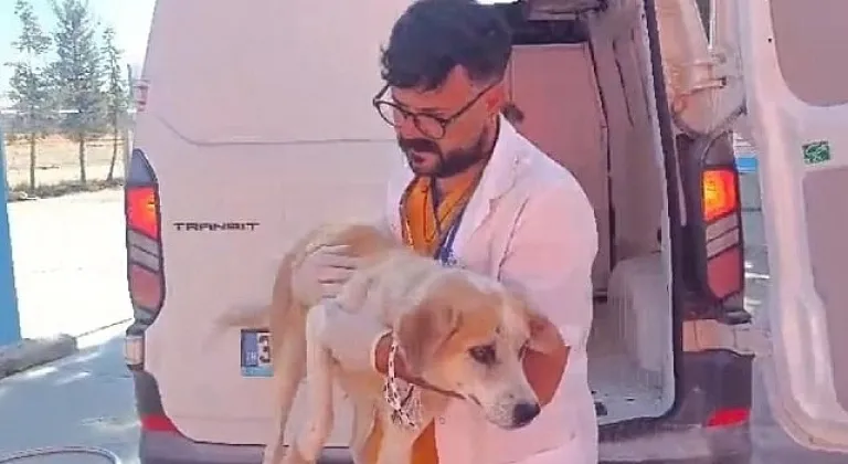 Didim'de Kuyuya Düşen Köpek Belediye Ekiplerince Kurtarıldı
