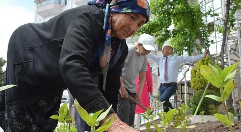 Domates Fideleri Gönül Köşkü’ne Dikildi