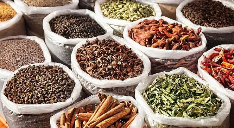 Egeli ihracatçılar Baharat Yolu’nu yeniden canlandırıyor