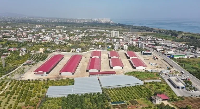 Erdemli Hali  Ağustos 2022’de Bitmesi planlanıyor