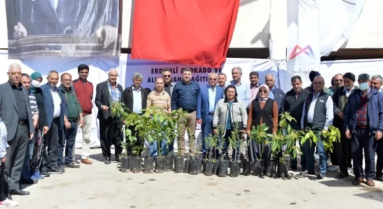 Erdemli’de 91 Üretici Avokado, 26 Üretici İse Alıç Fidanı Aldı
