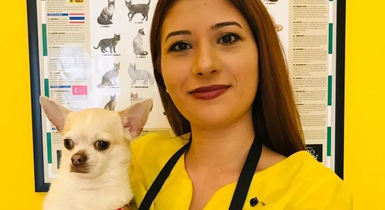 Evcil hayvanlar neden kuaföre gitmeli